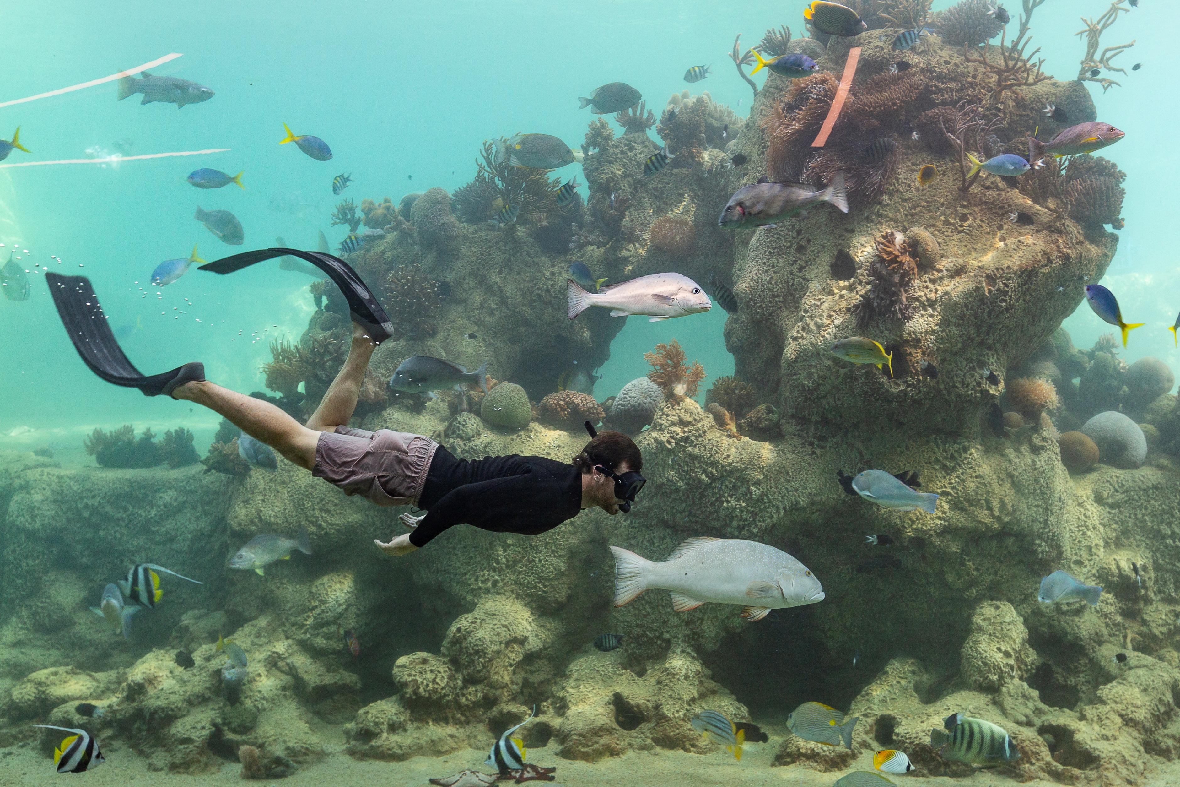 Daydream Island Resort Dış mekan fotoğraf