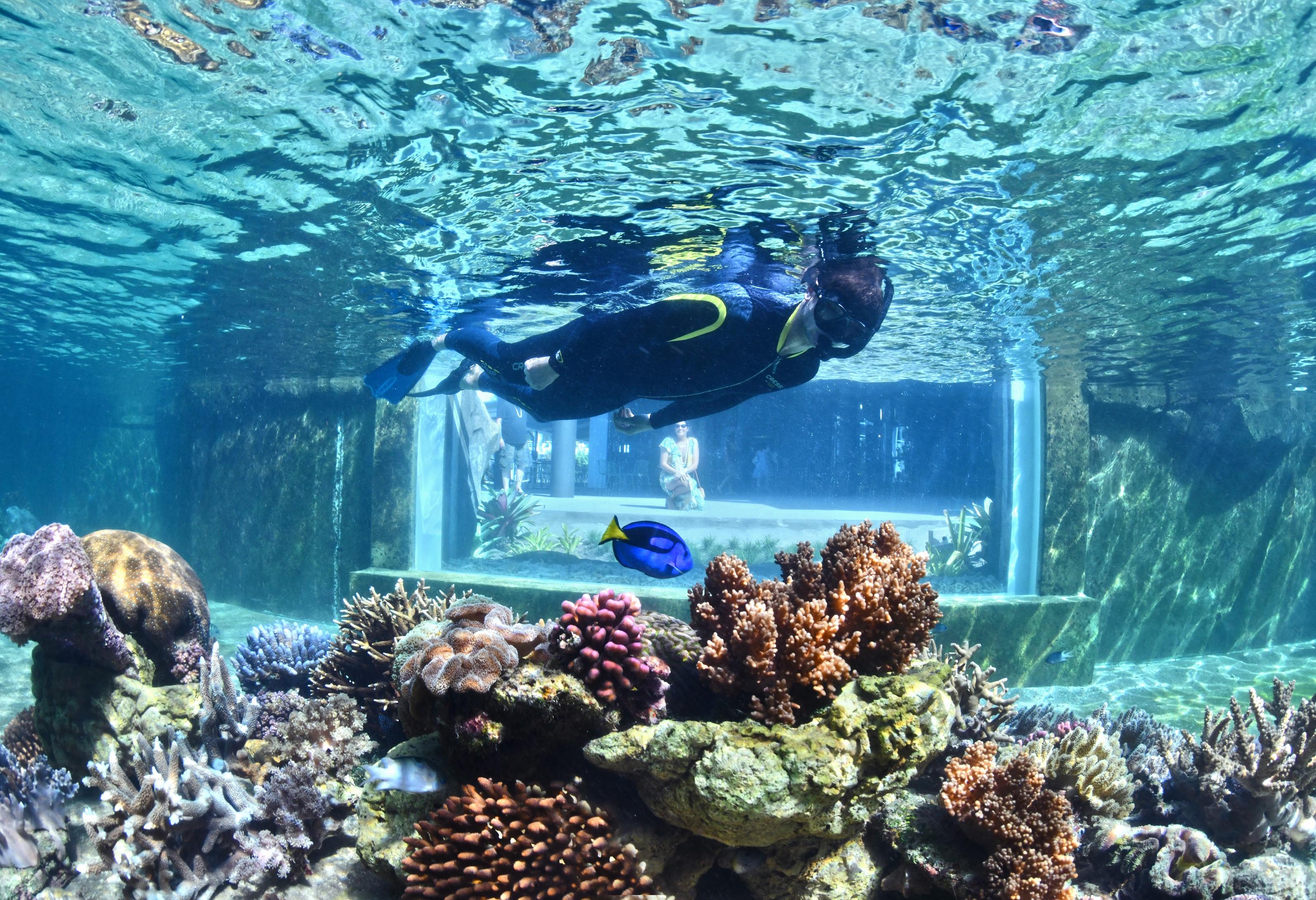 Daydream Island Resort Dış mekan fotoğraf