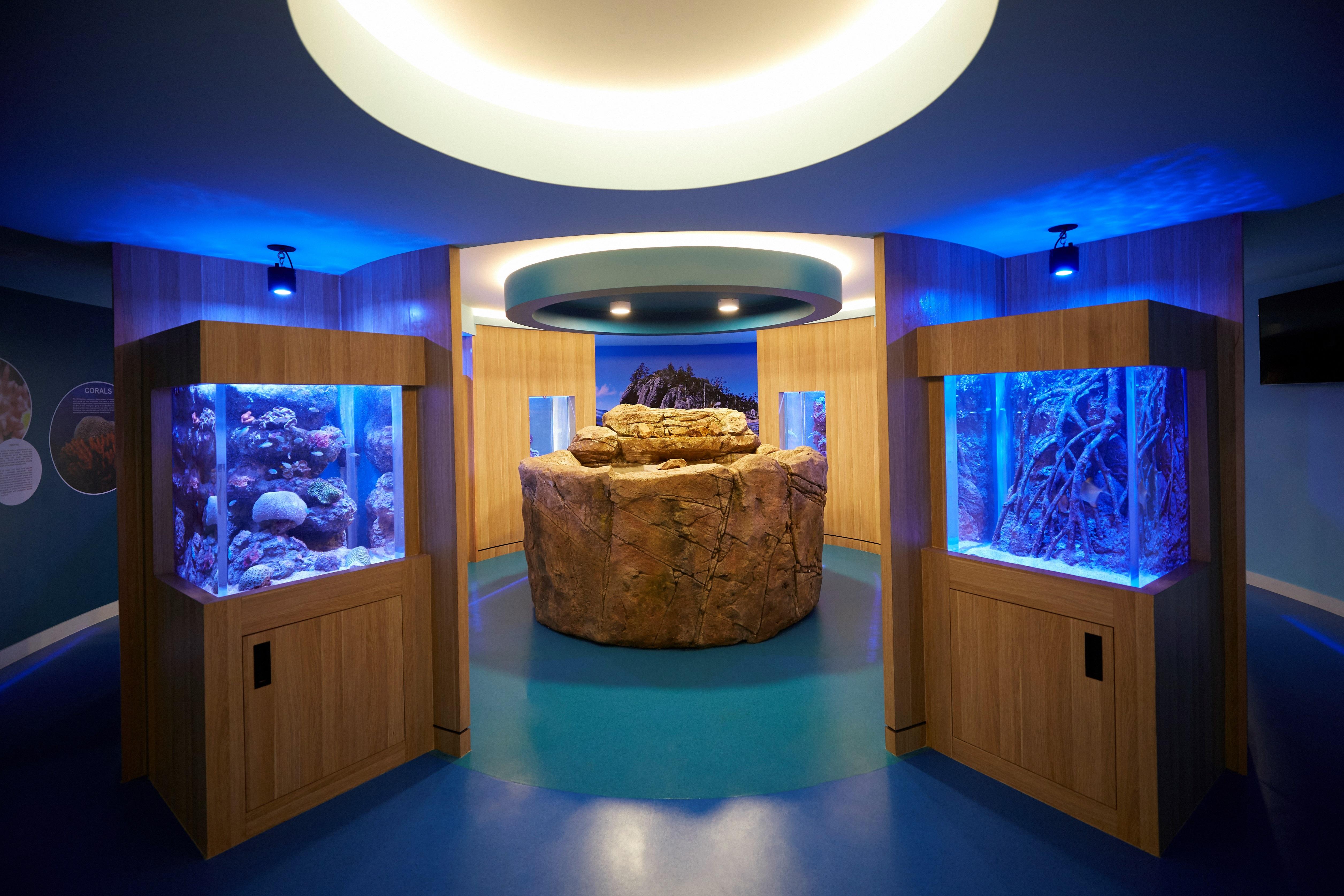 Daydream Island Resort Dış mekan fotoğraf