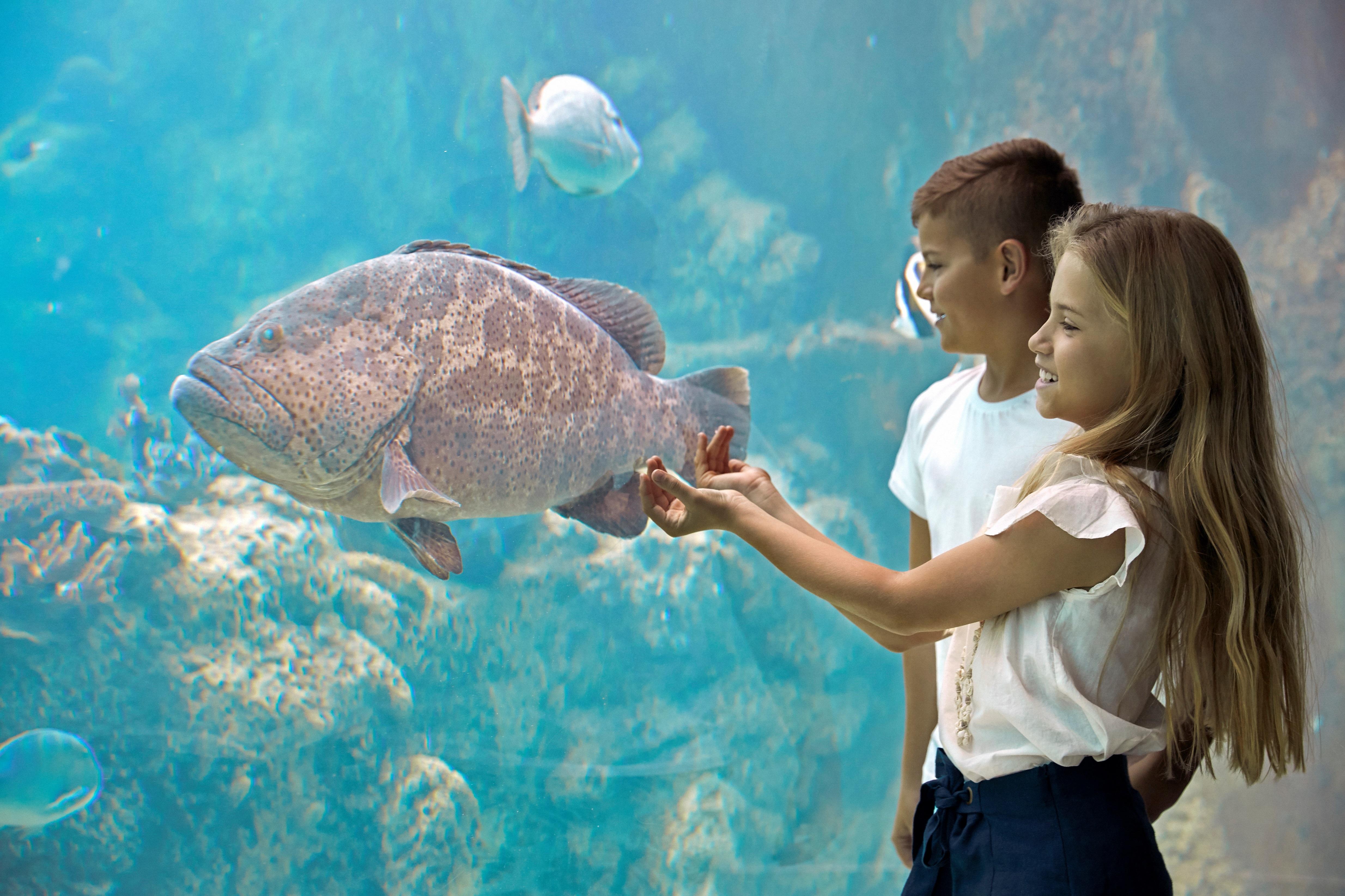 Daydream Island Resort Dış mekan fotoğraf