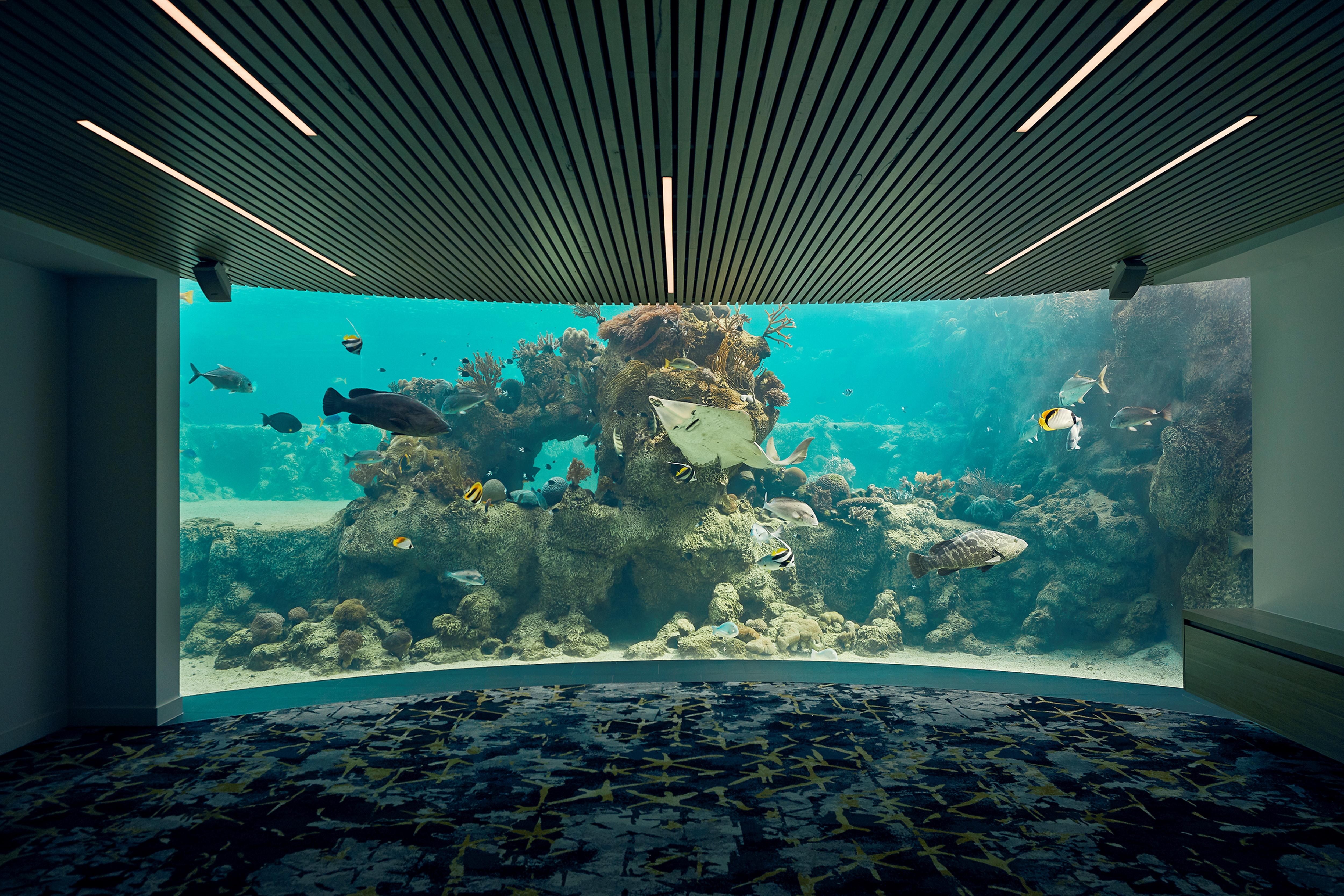 Daydream Island Resort Dış mekan fotoğraf